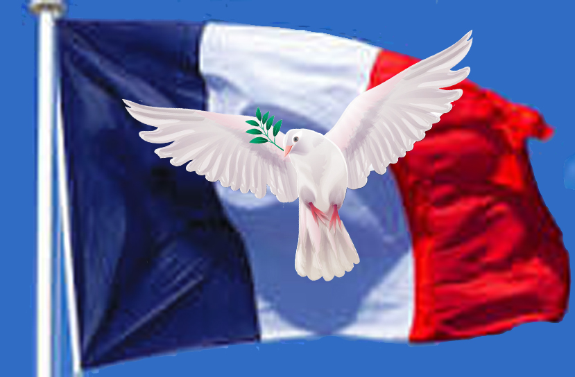 Colombe sur Drapeau Français